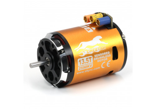 Бесколлекторная система SkyRC Cheetah 60A ESC for 1/10 Car 2590KV/13.5T